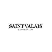 Saint Valais Limited logo - Similar company to Vain Projects