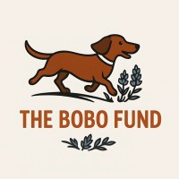 The Bobo Fund logo - Similar company to Nuba Restaurant Group