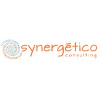 Synergetico Consulting logo - Similar company to Games For Peace