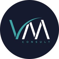 i9vmconsult logo - Similar company to Sw Intelligence For Business