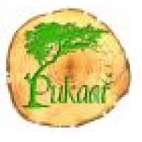 Pukaar Foundation logo - Similar company to Vmagnify Solutions Llp