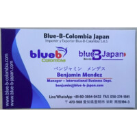 Blue-B-Japan logo - Similar company to Najaf