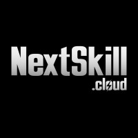 NextSkill logo - Similar company to Nexskill