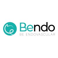 B-endo, Be Endovascular logo - Similar company to B-Value Group