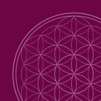 Living Flow Yoga Ashfield