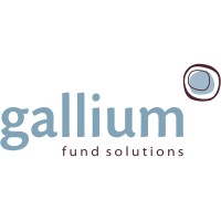 Gallium Fund Solutions Limited logo - Similar company to Dorhyan.Eu