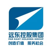 远东控股集团Far East Holding Group logo - Similar company to 远东股份 Far East Smart Energy