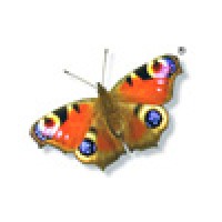 Butterflies Healthcare