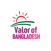 Valor of Bangladesh logo - Similar company to Prosperitat Investimentos