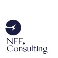 National Efficiency Firm for Consulting logo - Similar company to Xvisory Ltd.