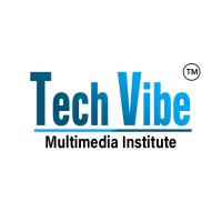 Tech Vibe Multimedia Institute logo - Similar company to Igenius Solutions