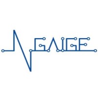 Ngaige logo - Similar company to Dynashwet Software Solutions