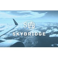 SKYBRIDGE AVIATION logo - Similar company to Wibdi Express