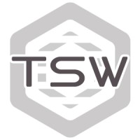 Tech Solutions Worldwide logo - Similar company to Skyline Tech Consulting