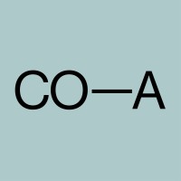 estudio CO-A logo - Similar company to Atrece