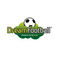 Dream Football logo - Similar company to Flipkick