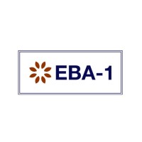 EBA-1 logo - Similar company to Eba Solutions Pvt Ltd