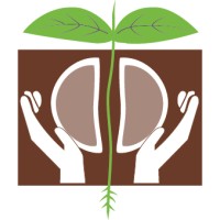 NUCAFE Uganda logo - Similar company to Funzo Coffee (U) Ltd