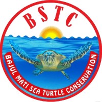 Bajulmati Sea Turtle Conservation logo - Similar company to Costa Rican Alliance For Sea Turtle Conservation & Science (Coasts)