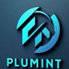 Plumint logo - Similar company to Web Creative Solution