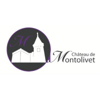 Château De Montolivet