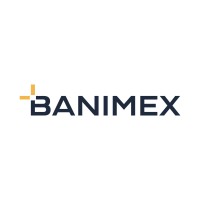 Banimex logo - Similar company to Calmtec