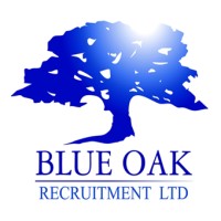 Blue Oak Recruitment Ltd logo - Similar company to Channeltek - Premium Systems Integrator For Satellite Television & Mega Sports Production