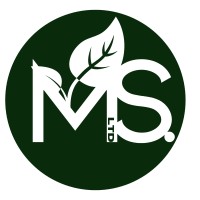 Markus Synergy Limited