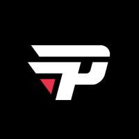 paiN Gaming logo - Similar company to Kabum!