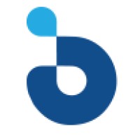 BlueAnalytix logo - Similar company to Blue Analytics