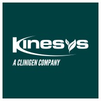 Kinesys Consulting Ltd logo - Similar company to Project Gap Pty Ltd
