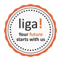 Liga UK logo - Similar company to Clickndrive Ltd