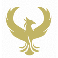 Phoenix Management Consulting logo - Similar company to K Squared Fund