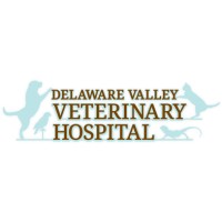 Delaware Valley Veterinary Hospital, P.C. logo - Similar company to Rio Grande Hospital (Valley Citizens Foundation For Health Care)