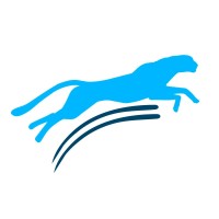 MoneyFex logo - Similar company to Kiibank