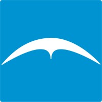 Capital Insurance Group logo - Similar company to Symsoft Solutions