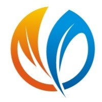Vision India International logo - Similar company to Mg Tradelinx