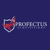 Profectus Acquisitions logo - Similar company to Profectus