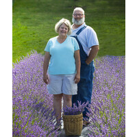 Lavender Vista, LLC logo - Similar company to Maison Alchemy