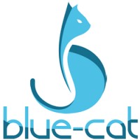 BLUE-CAT logo - Similar company to Teweco