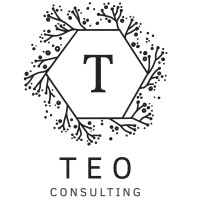 TEO Consulting logo - Similar company to Teo Consulting