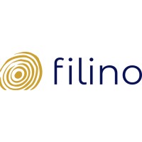 Filino Consulting logo - Similar company to Brilgroup