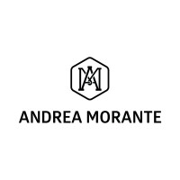 Andrea Morante logo - Similar company to Muralink