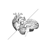 Artist in Bloom logo - Similar company to Notify_App