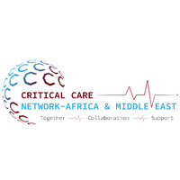 Critical Care Network Africa & Middle East logo - Similar company to Isicem
