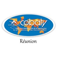 Cobaty Reunion logo - Similar company to Sbipb