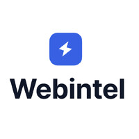 WebIntel logo - Similar company to Top 100