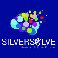Silver Solve logo - Similar company to Techzoid