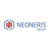 Neoneris Group logo - Similar company to Vidalba & Salix, S.L.
