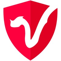 Draper Dragon logo - Similar company to Mawari